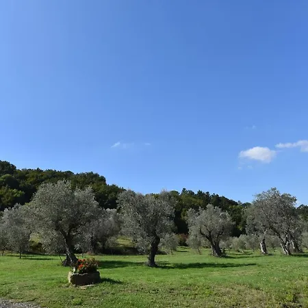 Case&colline - Girasole Holiday home Montescudaio