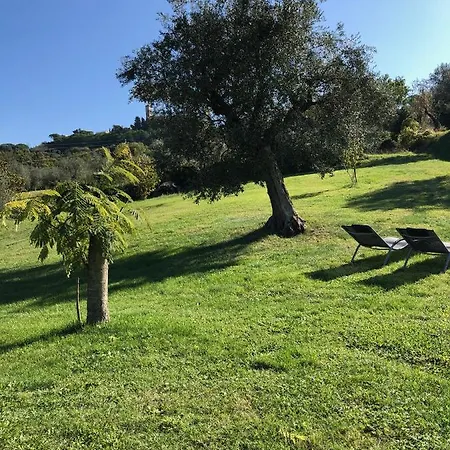 Case&colline - Girasole Montescudaio